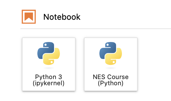 Screenshot from JupyterLab Launcher with title Notebook and two Python icons underneath: one named 'Python 3 (ipykernel)' and the other named: NES Course (Python)'